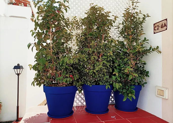 Appartement Topfloor Corner Panoramics Views & Pools *