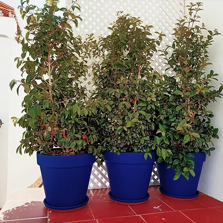 Appartamento Topfloor Corner Panoramics Views & Pools *